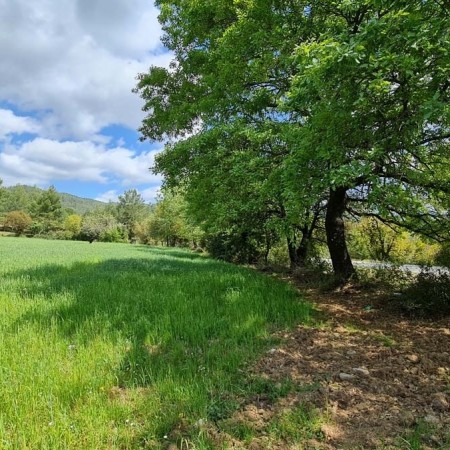 Muğla Karabörtlen’de Satılık Arsa ve Bungalovlar