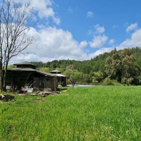 Muğla Karabörtlen’de Satılık Arsa ve Bungalovlar