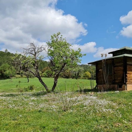 Muğla Karabörtlen’de Satılık Arsa ve Bungalovlar