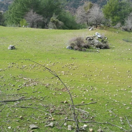 Köyceğiz Satılık Arazi