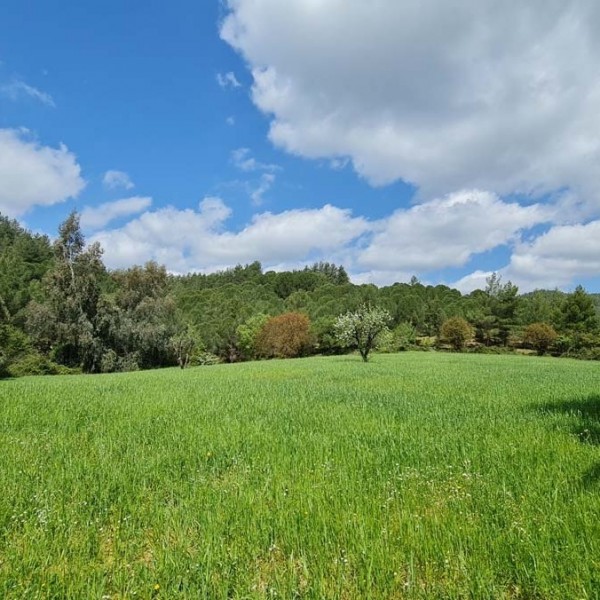 Muğla Karabörtlen’de Satılık Arsa ve Bungalovlar