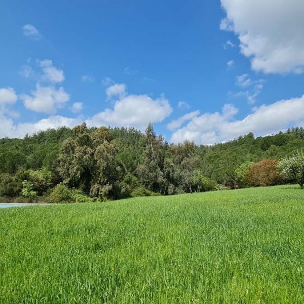 Muğla Karabörtlen’de Satılık Arsa ve Bungalovlar