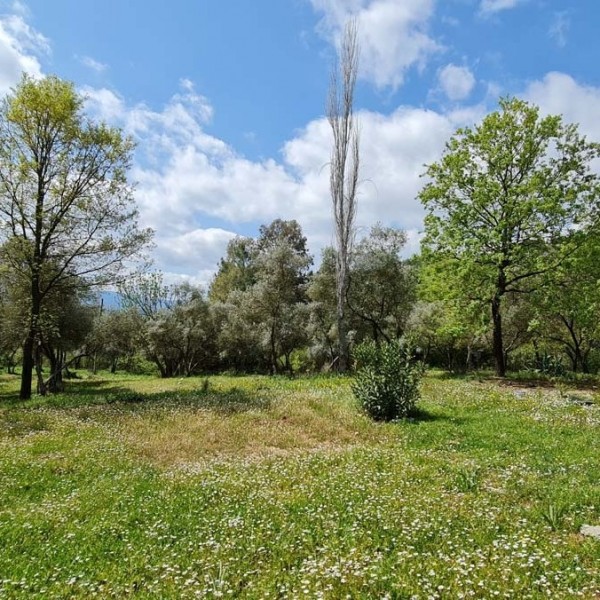 Muğla Karabörtlen’de Satılık Arsa ve Bungalovlar