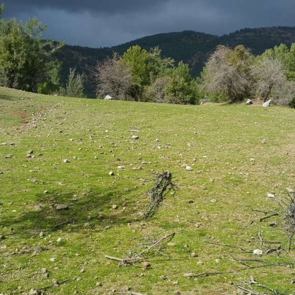 Köyceğiz Satılık Arazi